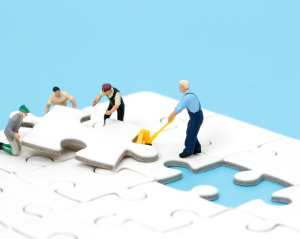 Software as a Service: taking the puzzle out of the jigsaw
