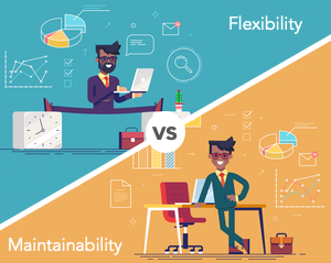 Flexibility vs Maintainability