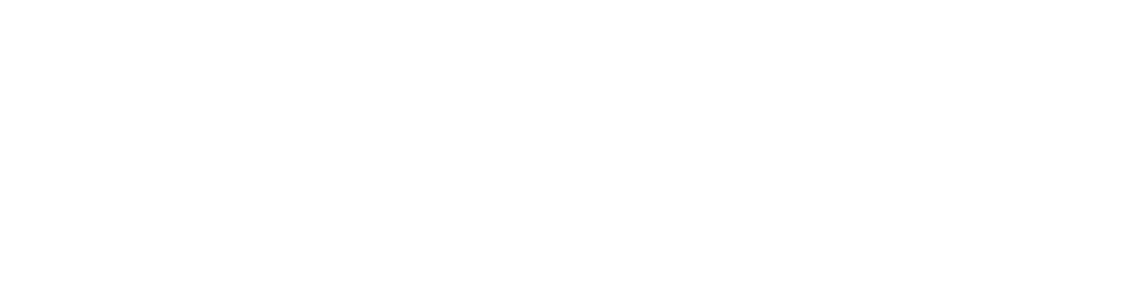Velocity Logo White